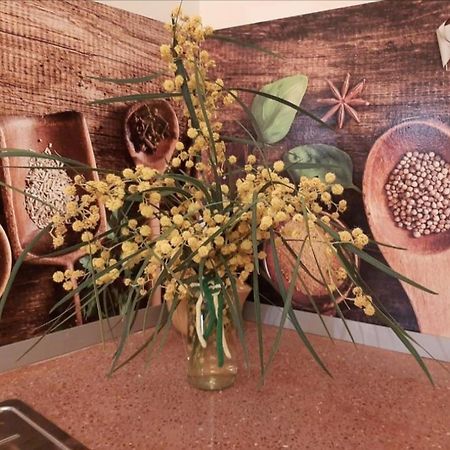 Comodo Apartamento Deltebre Luaran gambar