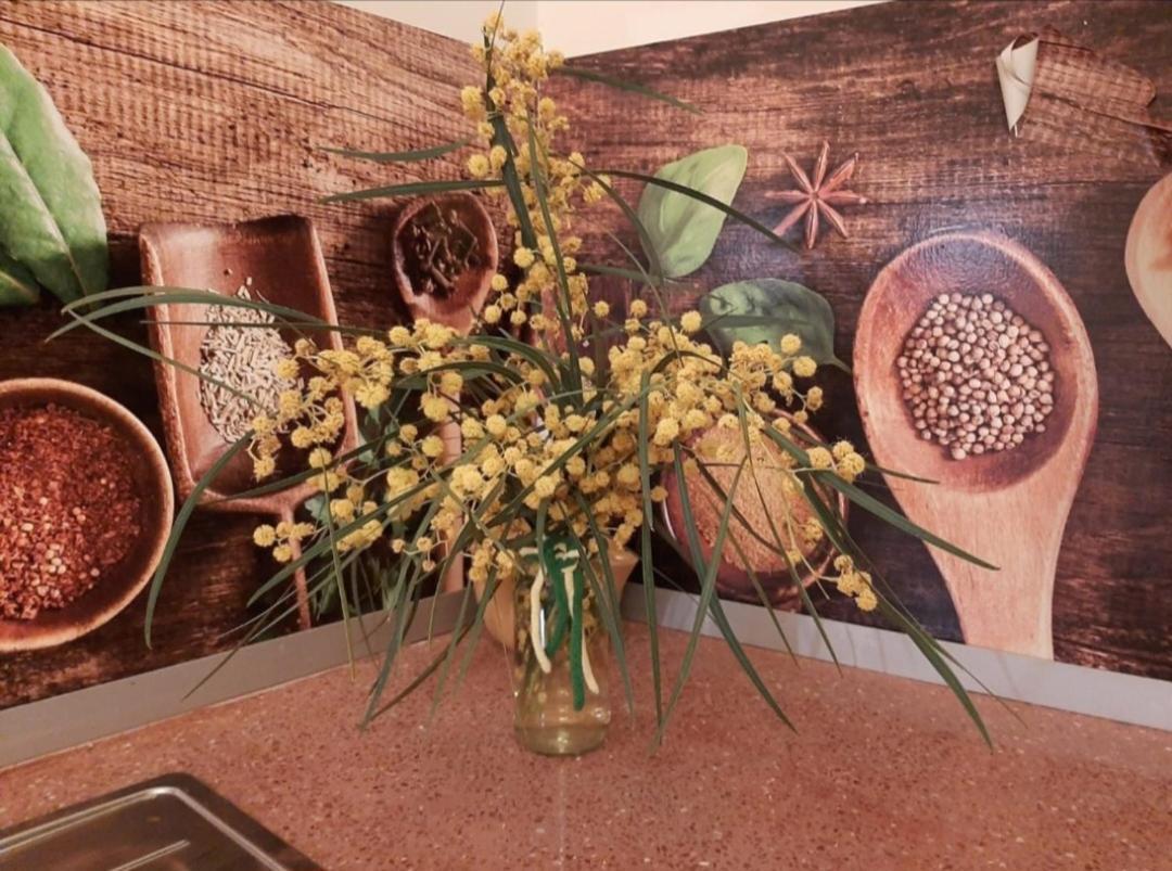 Comodo Apartamento Deltebre Luaran gambar